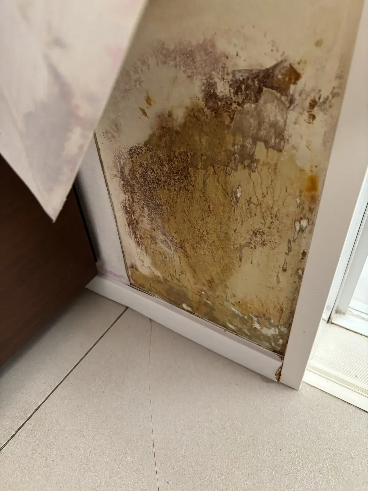 めくれた壁紙の下。石膏ボードの表面に茶色から黒っぽいカビ・シミが広がり、表面の紙も一部剥がれている