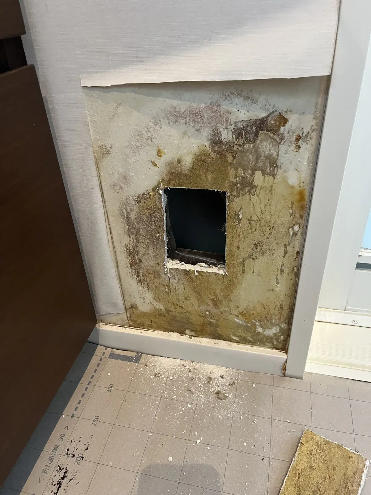 壁紙をめくった下の石膏ボード。カビが広がる壁の下側に、点検用の四角い穴が開けられている