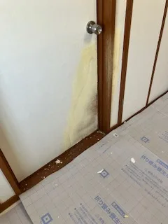 ドア横の壁の下のほう。黄色っぽい跡がある